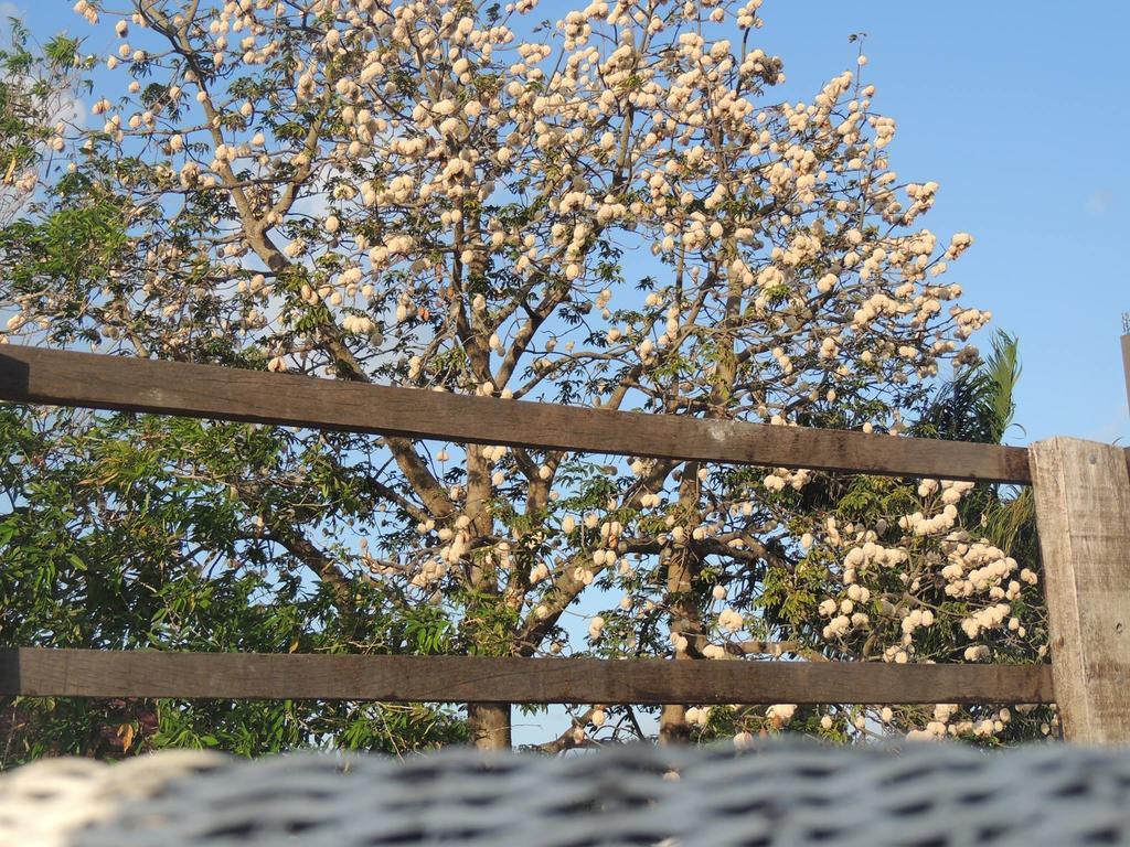 Namaste Hospedagem นาตาล ภายนอก รูปภาพ